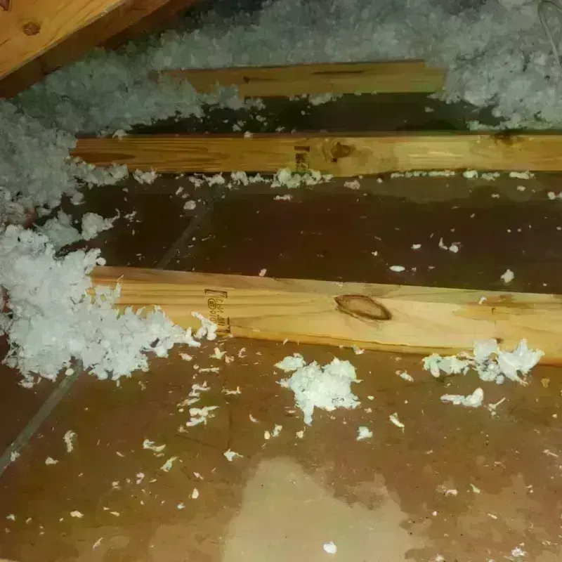 Attic Water Damage in Hamilton County, TX