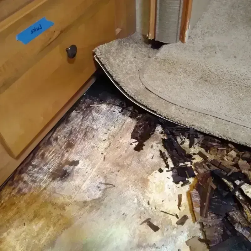 Wood Floor Water Damage in Hamilton County, TX